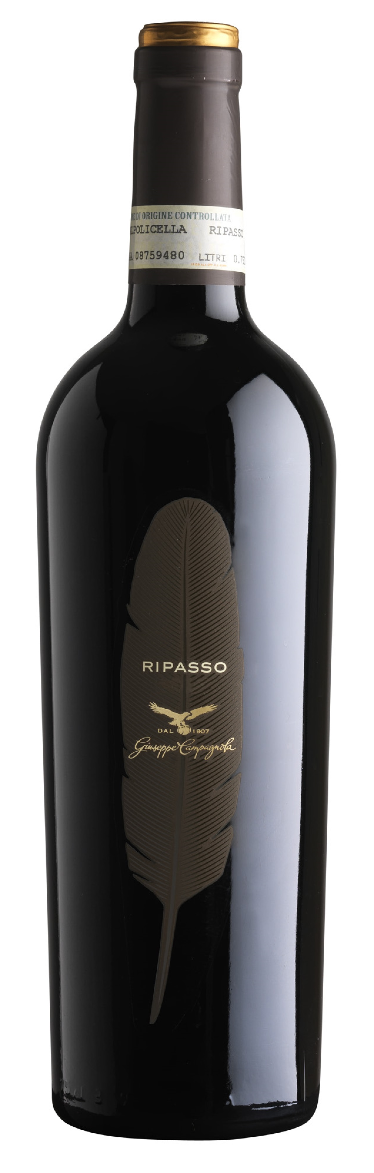 Valpolicella ripasso DOC classico superiore Giuseppe Campagnola